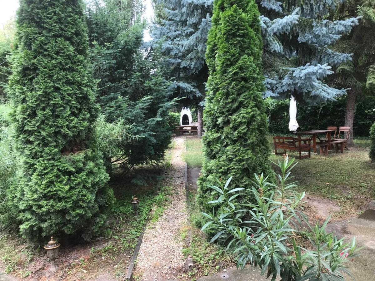 Platanus Vendeghaz Zamardi Bed & Breakfast エクステリア 写真
